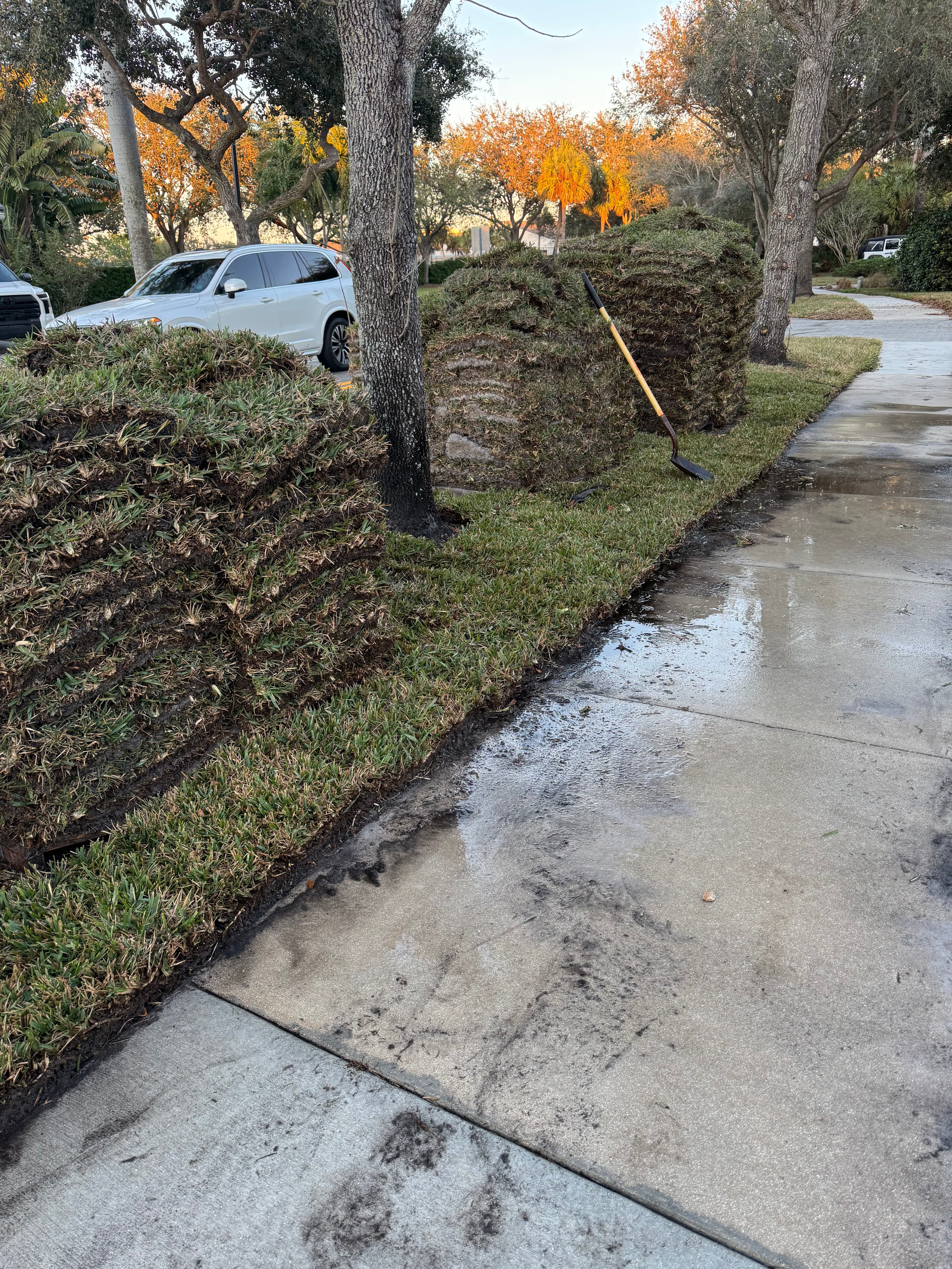 Blue Collar Q Landscaping Project