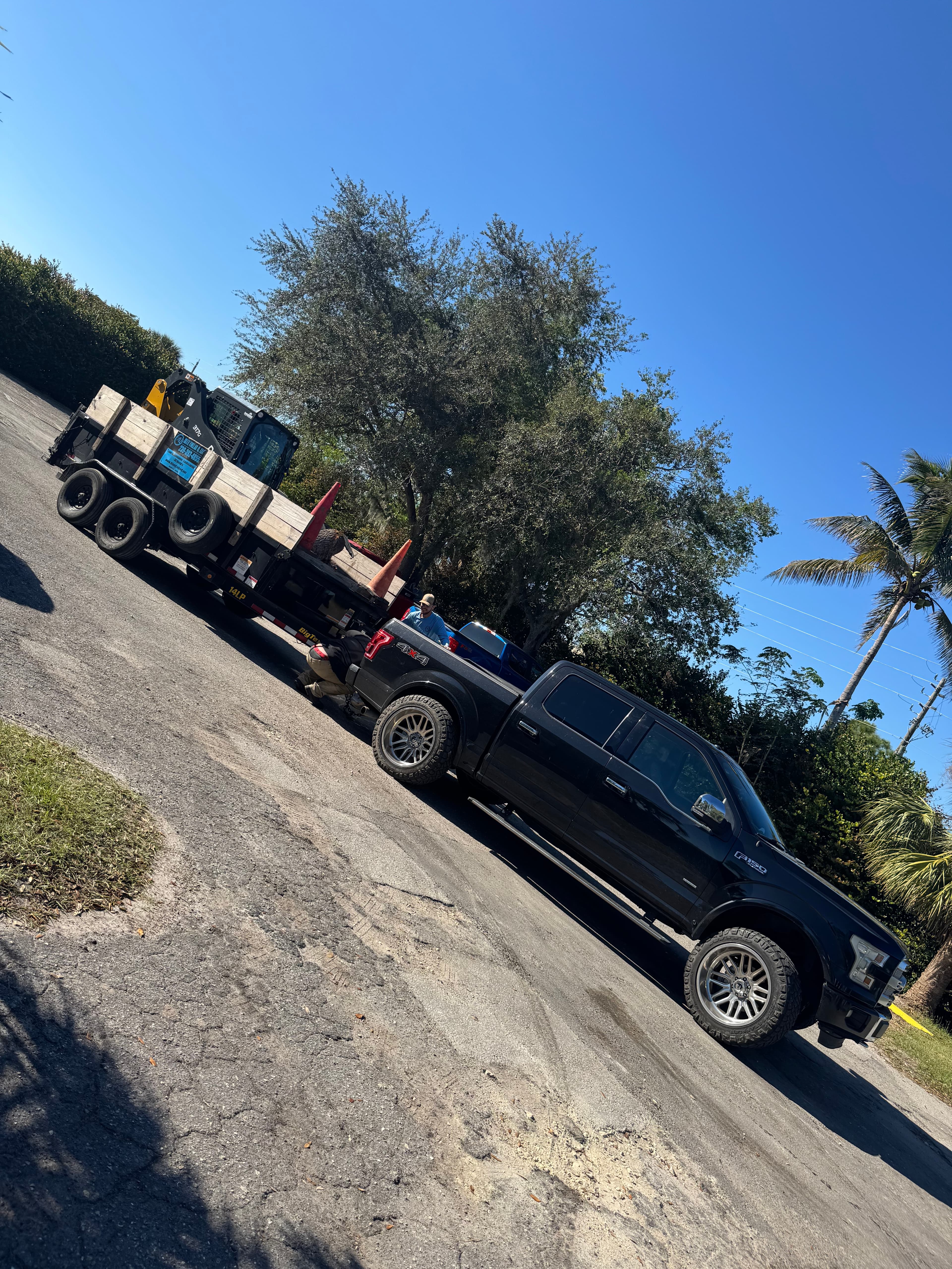 SW Florida Landscape