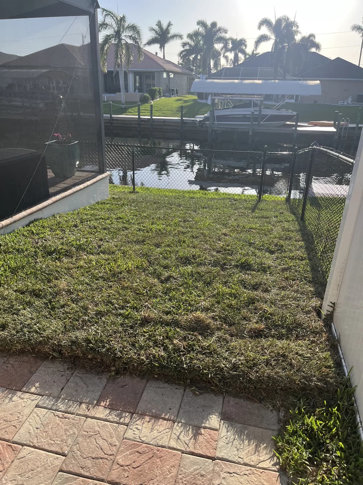 Blue Collar Q Landscaping Project — Cape Coral FL