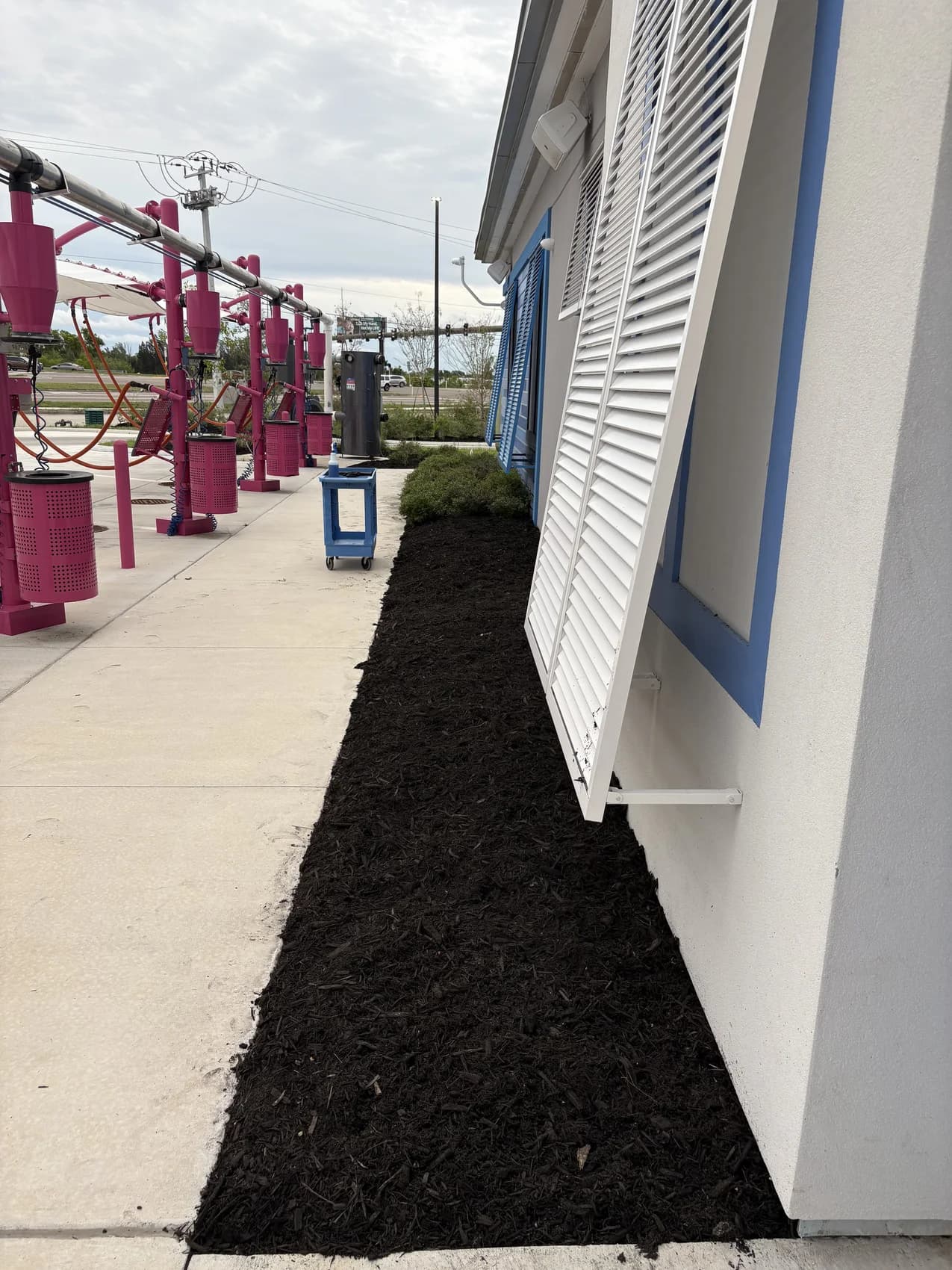 Blue Collar Q Landscaping Project — Cape Coral FL