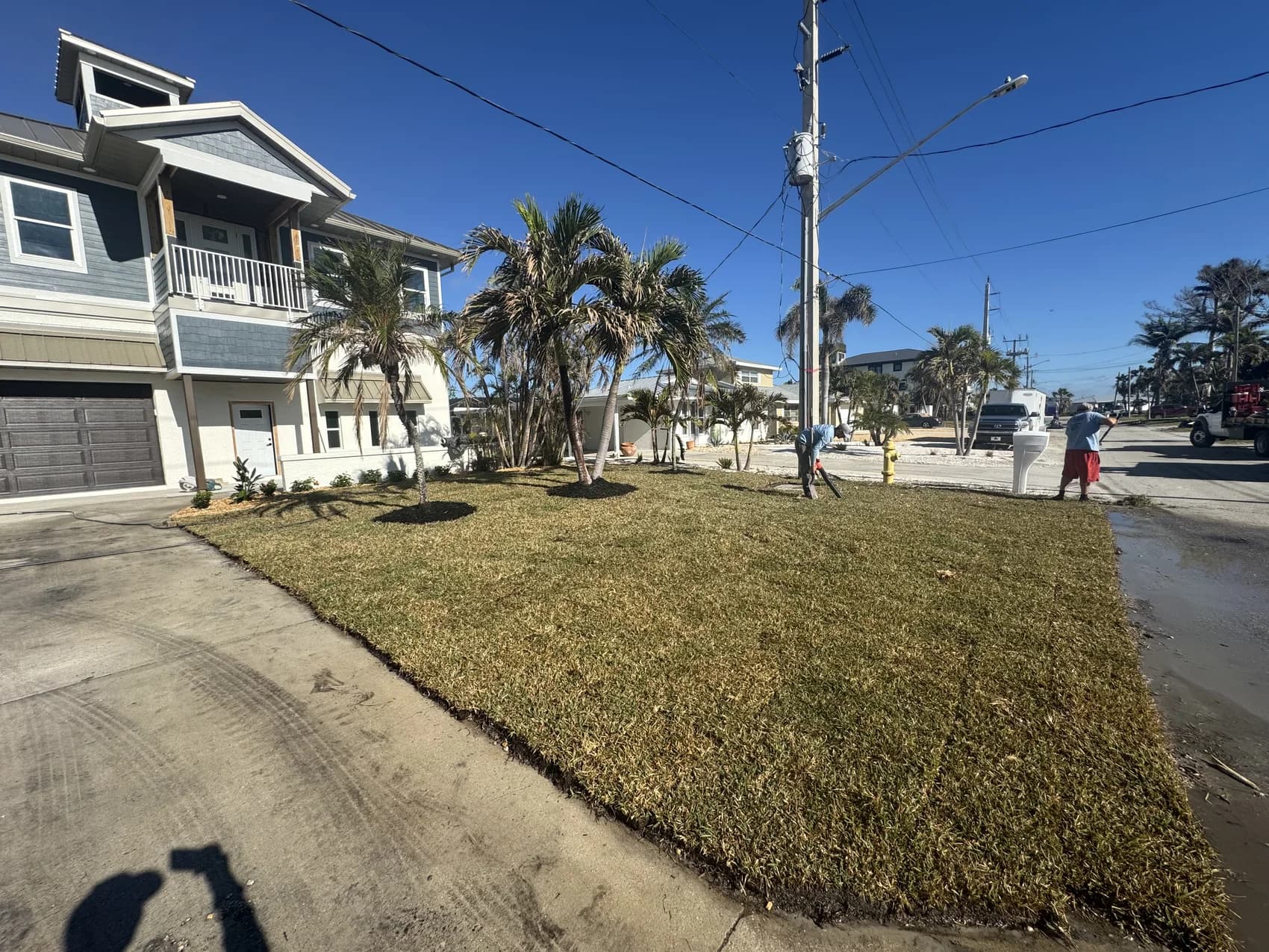 Blue Collar Q Landscaping Project — Cape Coral FL