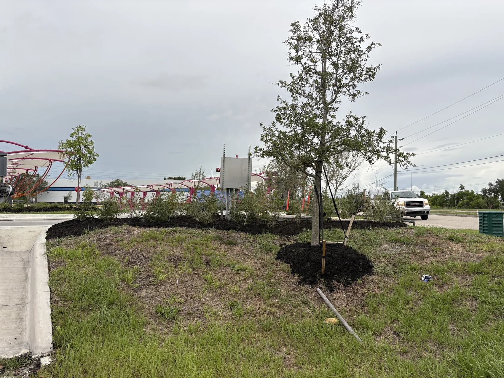 Blue Collar Q Landscaping Project — Cape Coral FL