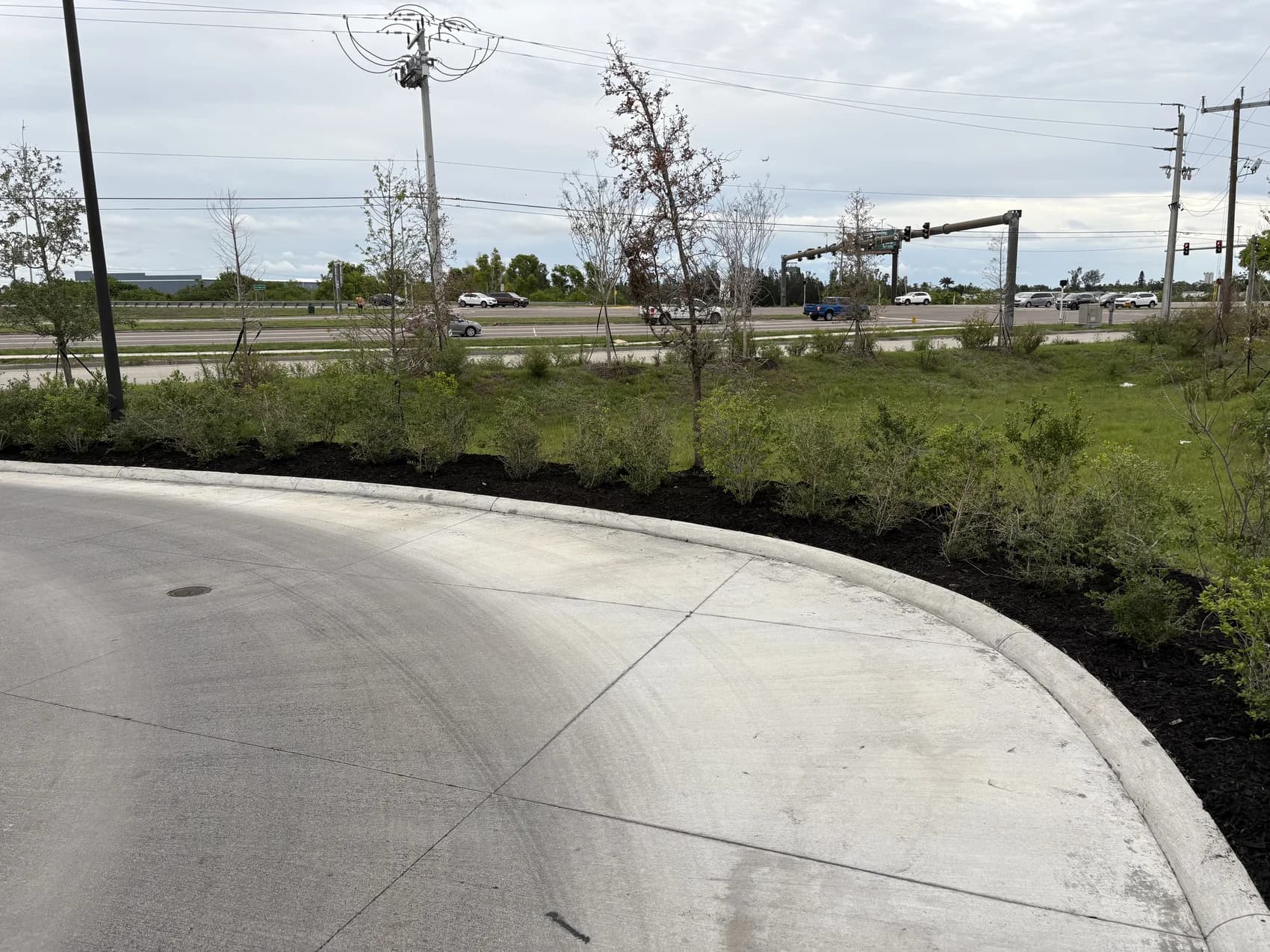Blue Collar Q Landscaping Project — Cape Coral FL