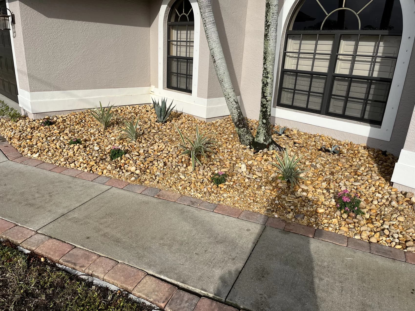 Blue Collar Q Landscaping Project — Cape Coral FL