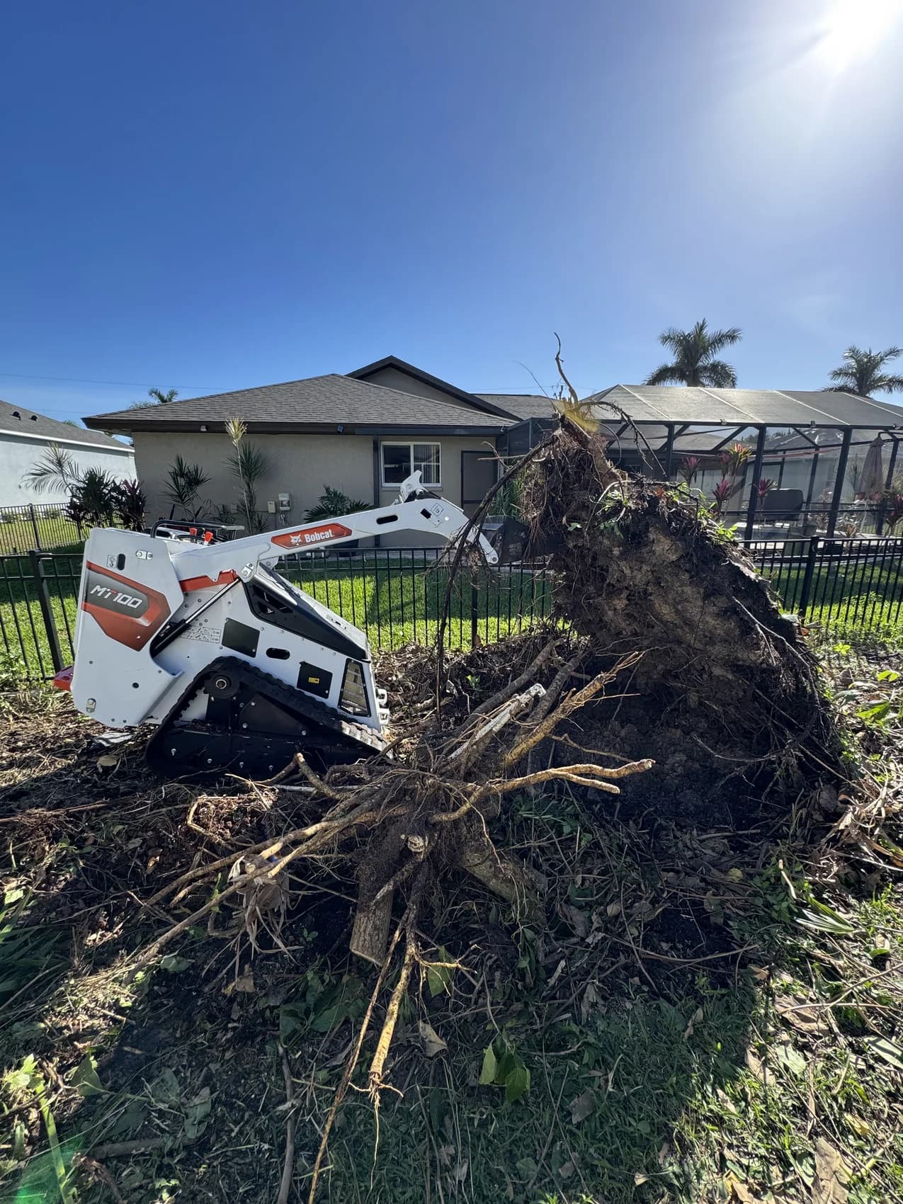 Bobcat track loader next to a root ball pulled out of a Cape Coral back yard