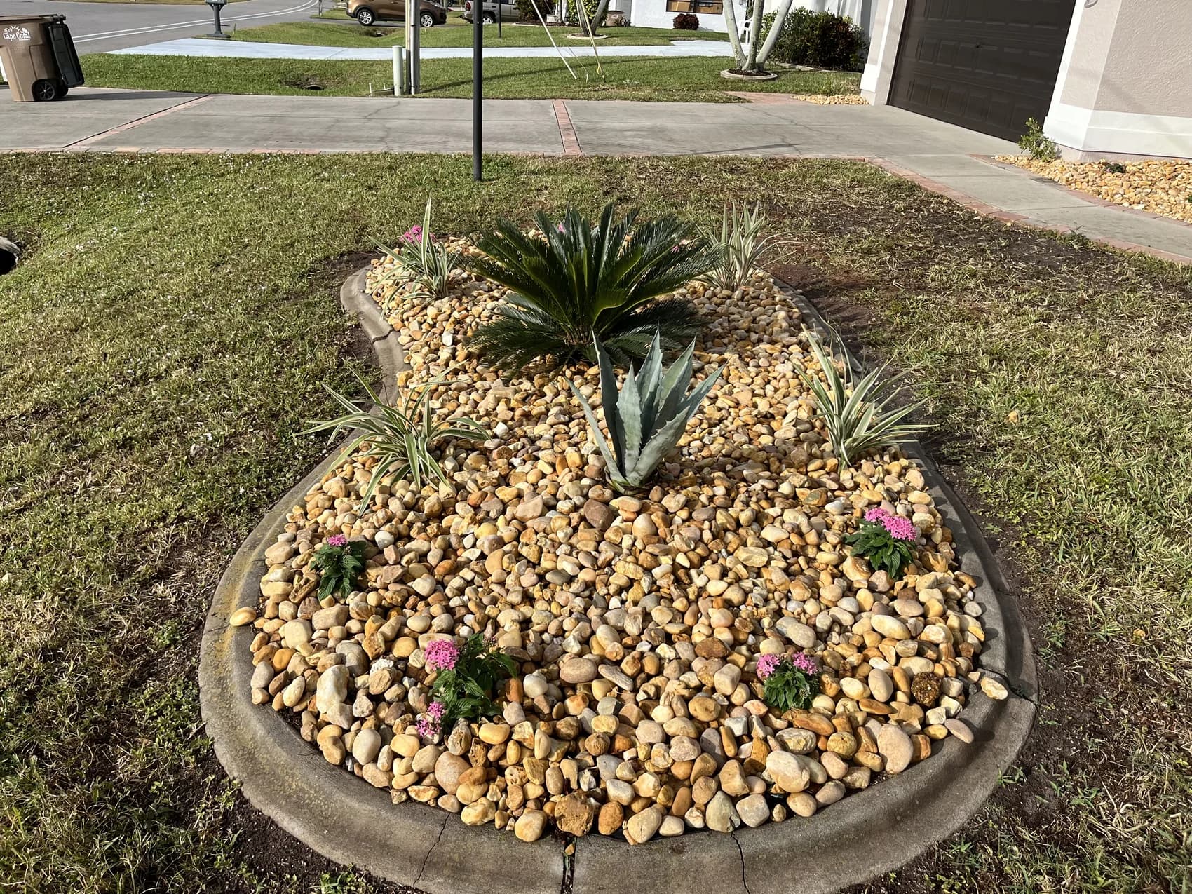 River rock island bed with agave and sago plantings inside a concrete curb at a Cape Coral home