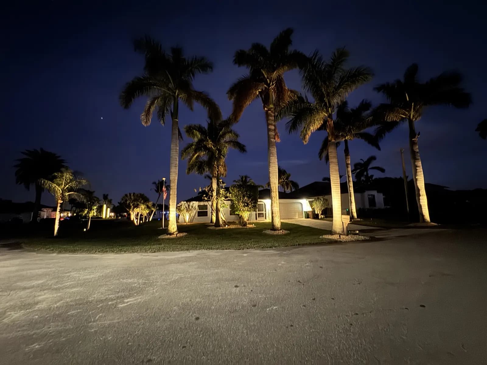 Landscape lighting royal palms, Cape Coral, Florida, by Blue Collar Q