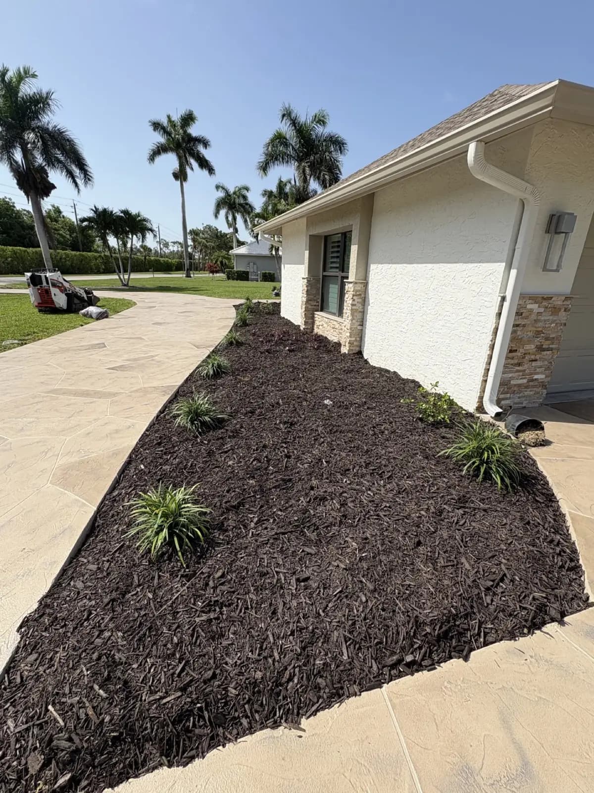 Dark mulch installation new plantings, Cape Coral, Florida, by Blue Collar Q