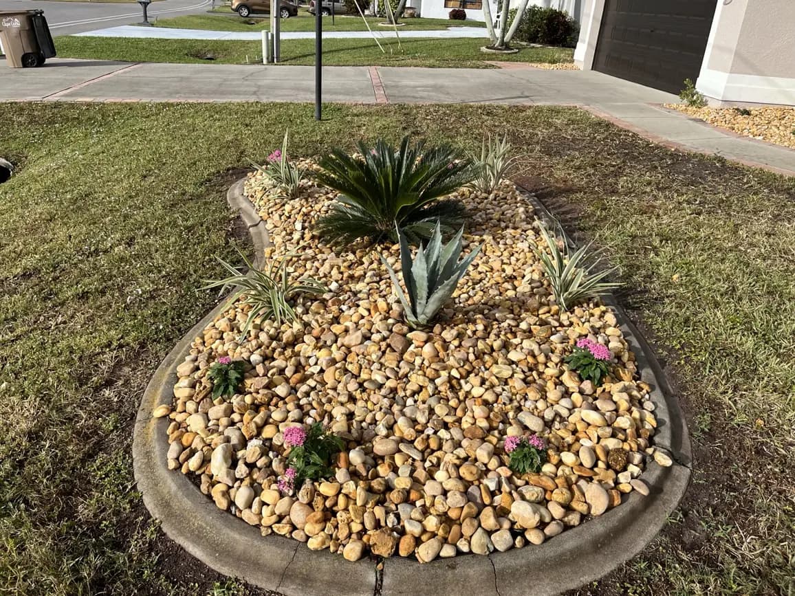 Curbed river rock island bed sago palm, Cape Coral, Florida, by Blue Collar Q