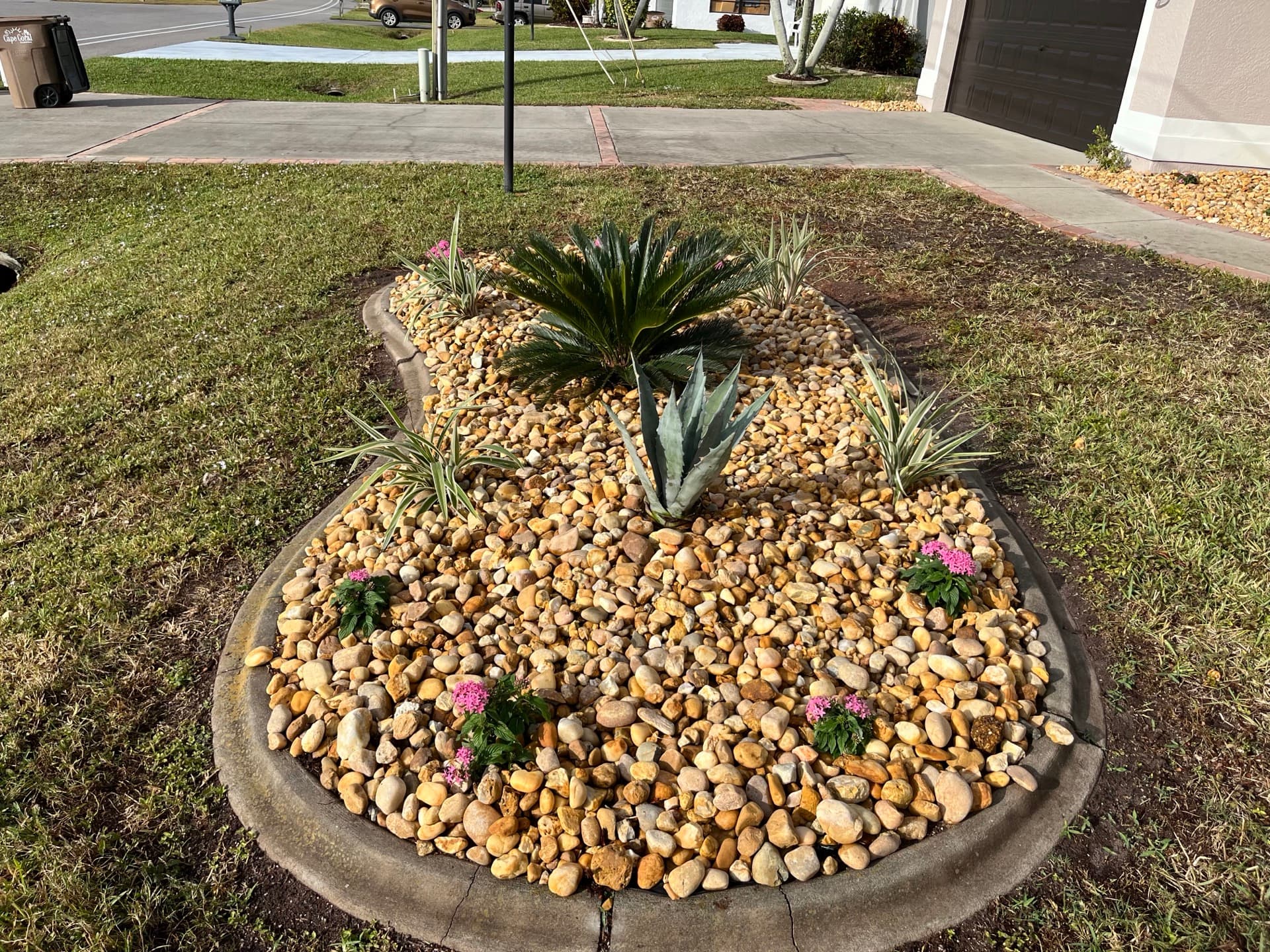 Landscaping by Blue Collar Q, Cape Coral FL — photo 3