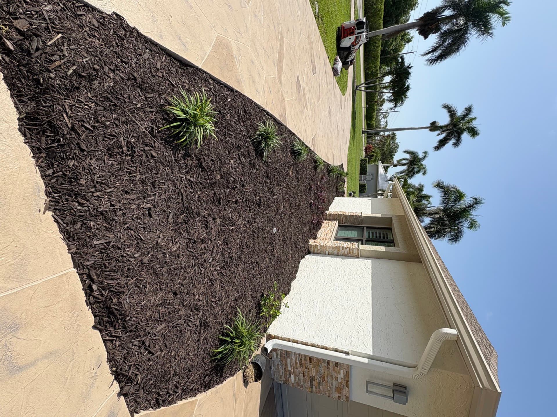 Landscaping by Blue Collar Q, Cape Coral FL — photo 4