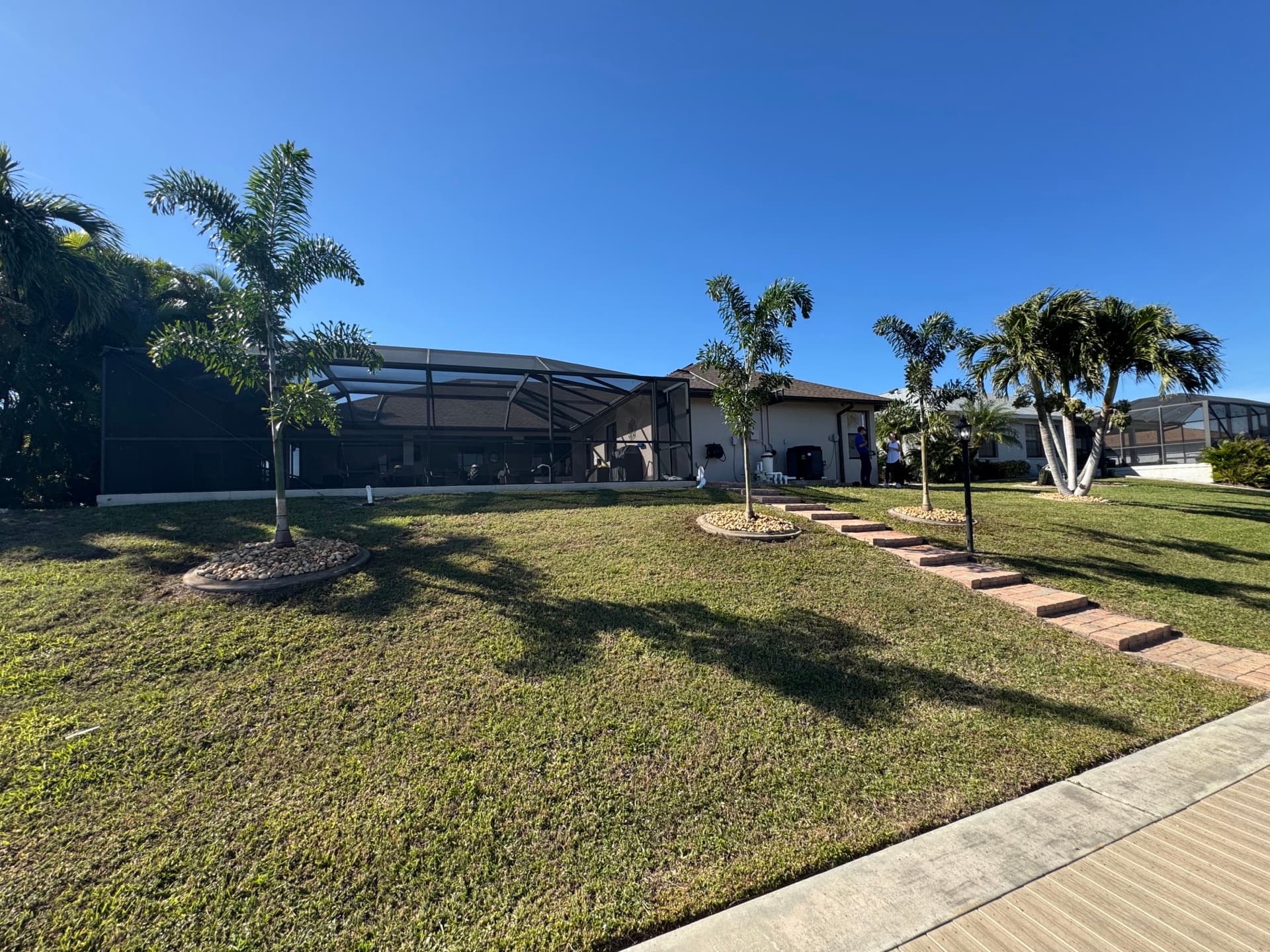 palm planting mulch rings paver path cape coral — Landscaping by Blue Collar Q, Cape Coral FL
