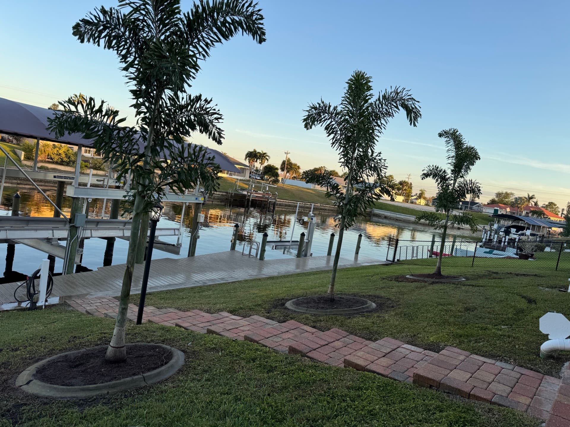 foxtail palm planting canal front cape coral, Trees & Shrubs by Blue Collar Q, Cape Coral FL