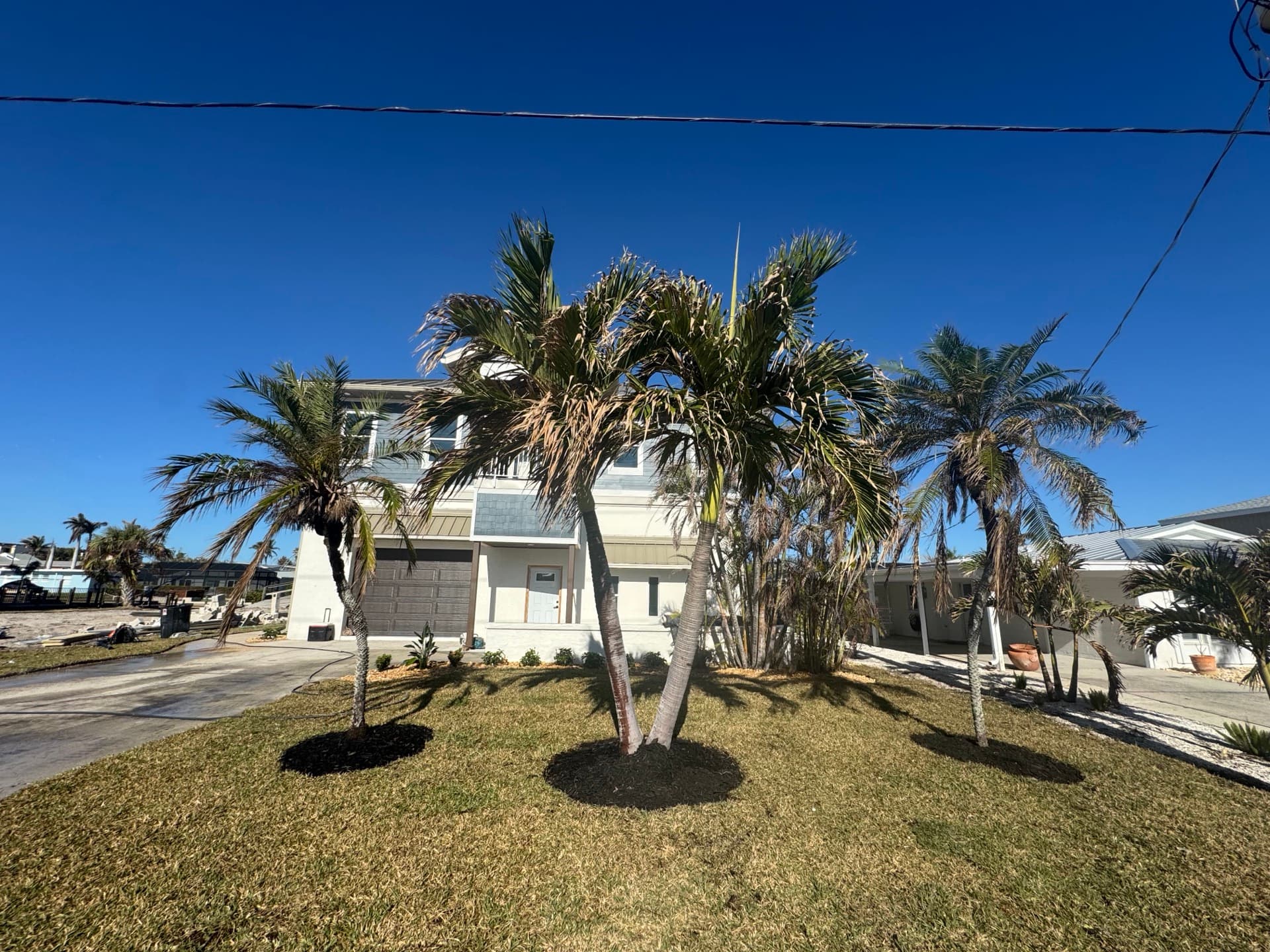 Trees & Shrubs by Blue Collar Q, Cape Coral FL — photo 3