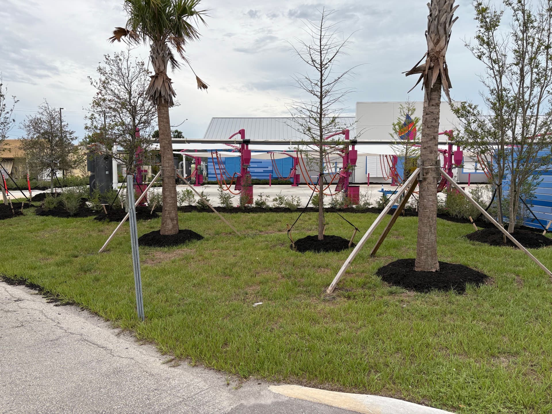 Trees & Shrubs by Blue Collar Q, Cape Coral FL — photo 4